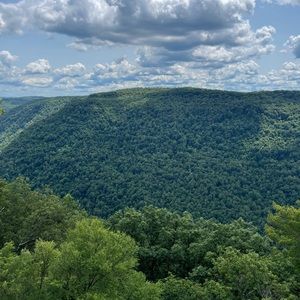 Meet your Posher, Irma